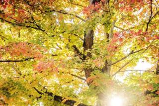 Christopher Gendron Photography - 18