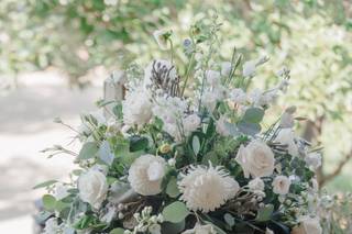 Eliza Jane Events - 15