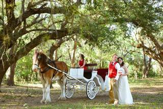 Erica Braley Photography - 76