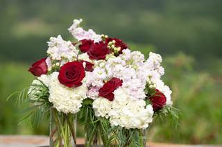 Designing Flowers LLC - 10