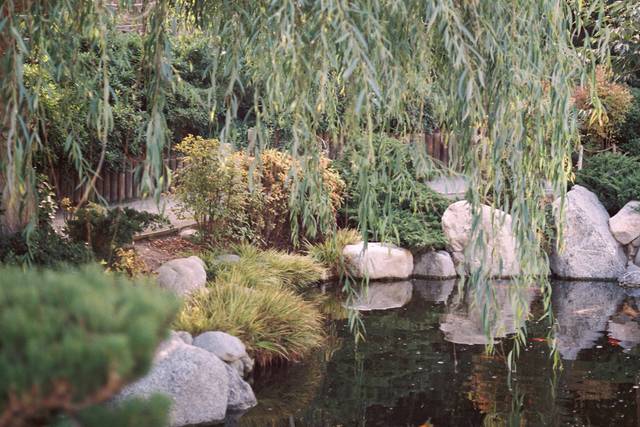 Japanese Friendship Garden San Diego 2