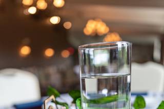 David Harris Photography - 7