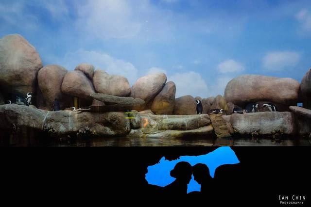 Ian Chin Photography 5