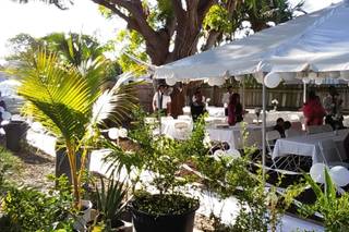 SUNRISE PARY RENTAL - 5