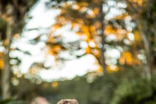 Brittany Morgan Photography - 102