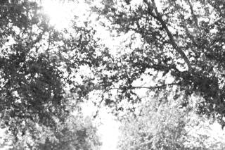 Alondra Vega Photography - 12