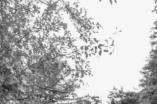Brandi Toole Photography - 7