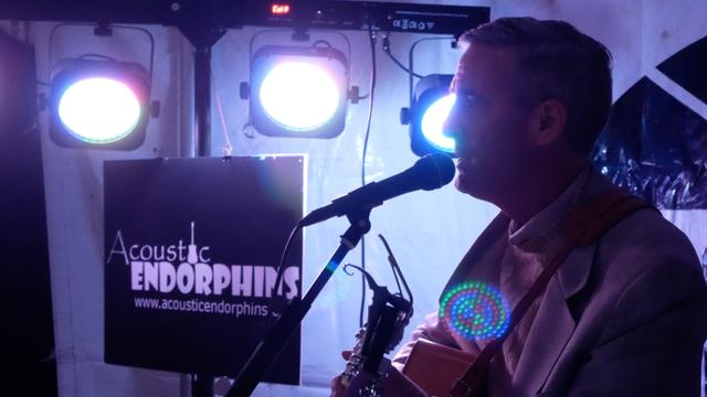 Acoustic Endorphins - 1