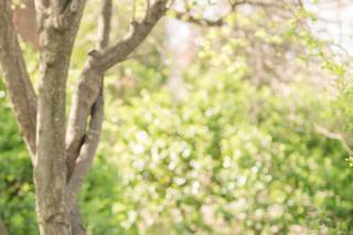 Anna Grace Photography - 73