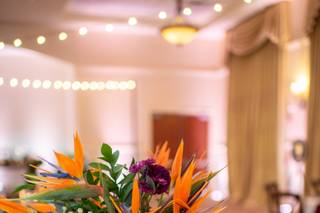 Runway Botanical - 22
