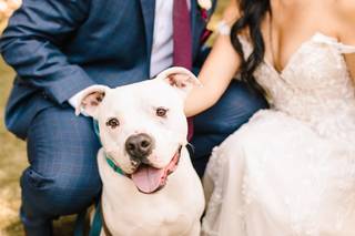 Elle Lily Photography and Videography - 5