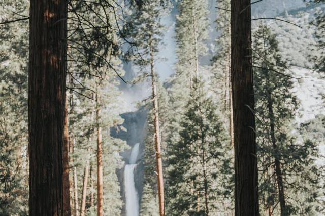 Kate Michelle Photography 2