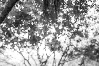 Signature Wedding Photography - 71