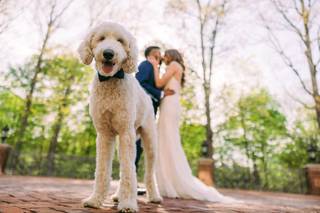 Nat Wongsaroj Photography - 19