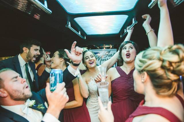 Al's Platinum Limousine 5