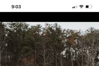 In The Woods, LLC - 42