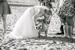 Jason Cole Photography - 7