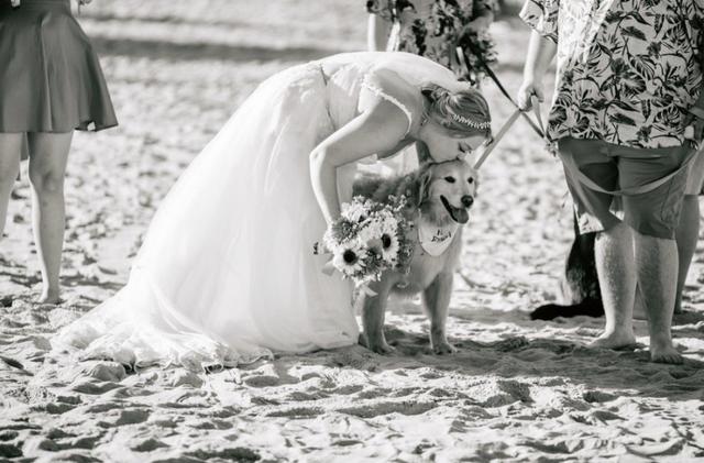 Jason Cole Photography - 4