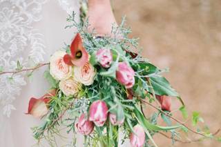 Rebecca Christine Photography - 5