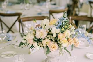 Distinctive Mountain Events - 20
