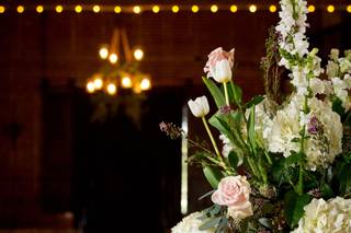 Dahlia a Florist - 24