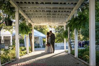 Amber Room Colonnade - 15