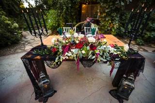 Cattails Florist - 5