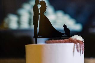 All The Little Stories Photography - 17