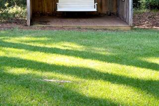 Beautiful Beginnings Farm - 178