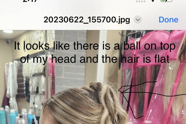 Hairs 2 the Bride, LTD 3