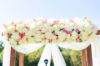 Petal Burst Designs - 32