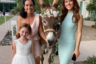 Haul N Ass Productions - 145