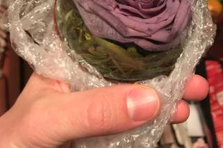 Forever In Time, Floral Preservation - 4