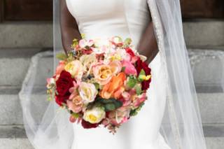 Whist Weddings - 5
