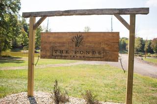 The Ponds Venue - 25