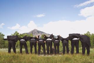 The Bohde Collective - 9