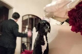 Jenny's Wedding Cakes - 10