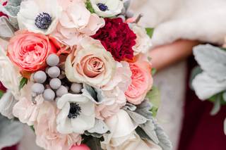 Laura Tavarez Photography - 15