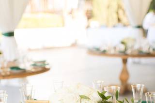 Blissful Events By Diana - 12
