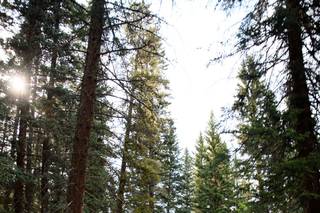 Mountain View Ranch by Wedgewood Weddings - 40