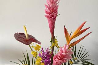 Fukushima Flowers - 37