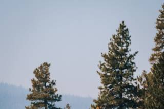 Myrtle Creative Co. - 31