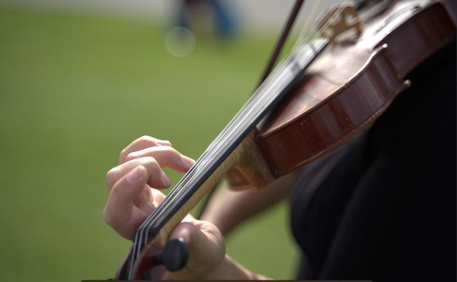 Brooksley Bishop Violinist - 1