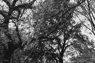 Aesthetic Sabotage Wedding Photography - 14