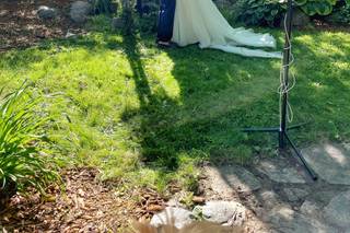 COLLECTIVE/by Sachs Authentic Wedding Planning & Design - 33