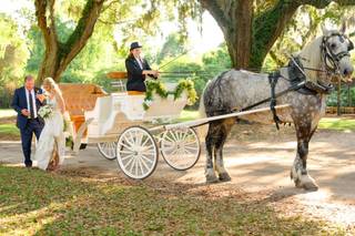 Charleston Wedding Planner - 63