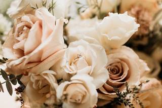 Native Poppy | Floral Design - 11