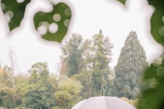 Amanda Aceves Photography - 7