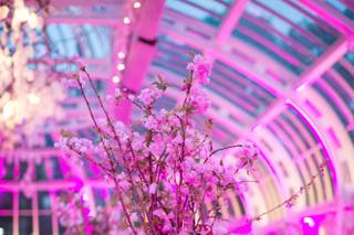 Irene & Co Events - 36