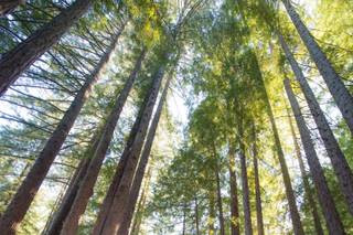 Jim Vetter Photography - 14